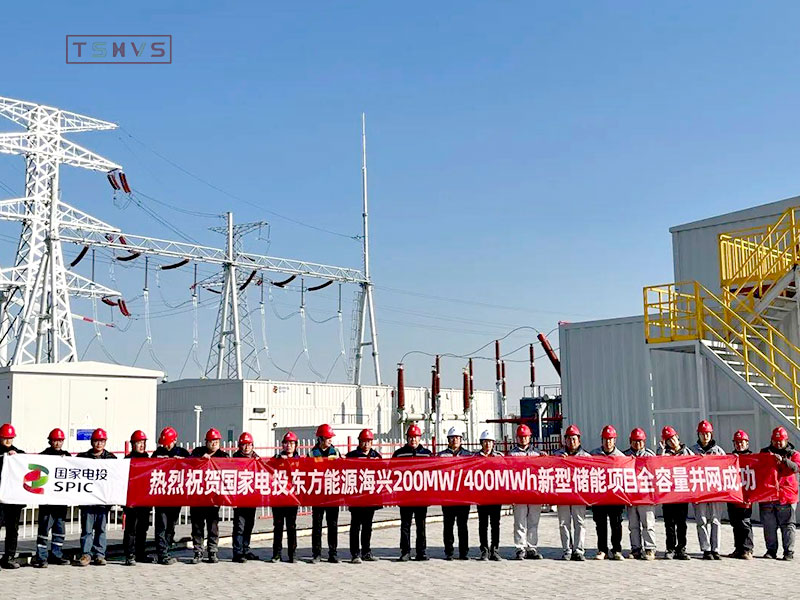 SPIC Dongfang Energy Haixing 220 kV Energy Storage GIS Project