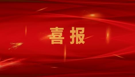 热烈祝贺我公司通过山东省制造业单项冠军企业复核！